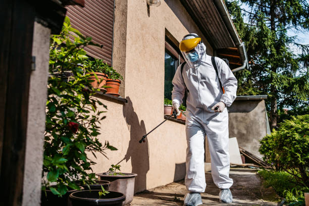 Best Best Pest Control Companies  in Seneca, MO