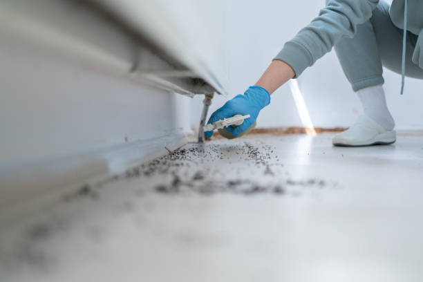 Best Termite Control Services  in Seneca, MO